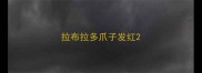 拉布拉多爪子发红