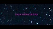 拉布拉多刚来拉稀很臭