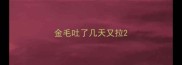 金毛吐了几天又拉