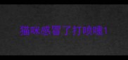 猫咪感冒了打喷嚏