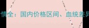边境牧羊犬价格行情全国内价格区间血统差异与购买避坑指南