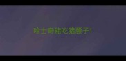哈士奇能吃猪腰子