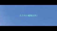 几个月小藏獒出生