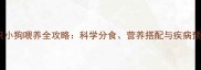 多只小狗喂养全攻略科学分食营养搭配与疾病预防