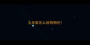 玉米面怎么给狗狗吃