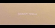 拉布拉多生了吃什么