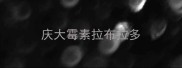 庆大霉素拉布拉多