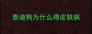 泰迪狗为什么得皮肤病