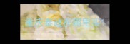 重庆泰迪在哪里买
