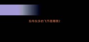 拉布拉多的飞节是哪里