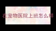 在宠物医院上班怎么样
