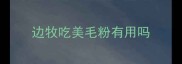 边牧吃美毛粉有用吗