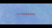 三个月拉布拉多拉