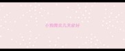 小狗胃炎几天能好