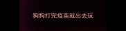 狗狗打完疫苗就出去玩