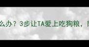 狗狗挑食怎么办3步让TA爱上吃狗粮附详细教程