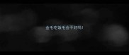 金毛吃饭毛会不好吗