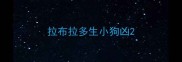拉布拉多生小狗凶
