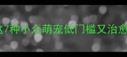 想养宠物除了狗猫这7种小众萌宠低门槛又治愈附选宠避坑指南