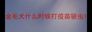 金毛犬什么时候打疫苗驱虫