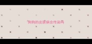 狗狗的皮肤病会传染吗
