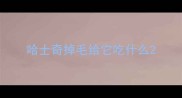 哈士奇掉毛给它吃什么
