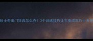 哈士奇出门狂奔怎么办3个训练技巧让它变成乖巧小天使