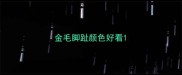 金毛脚趾颜色好看