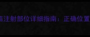 拉布拉多疫苗注射部位详细指南正确位置及注意事项