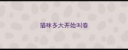 猫咪多大开始叫春
