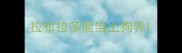 拉布拉多能当土狗养