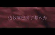 边牧嘴巴肿了怎么办