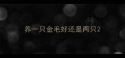 养一只金毛好还是两只
