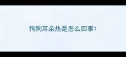 狗狗耳朵热是怎么回事