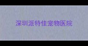 深圳派特佳宠物医院