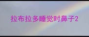 拉布拉多睡觉时鼻子