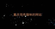 重庆领养猫咪的网站