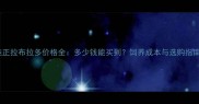 纯正拉布拉多价格全多少钱能买到饲养成本与选购指南