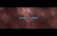 家养拉布拉多犬哪里有