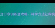边牧幼犬2-6个月口令训练全攻略科学方法让狗狗快速掌握指令