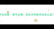 2月龄小奶猫喂养全攻略新手必看奶水羊奶粉米汤怎么选附24小时喂食表