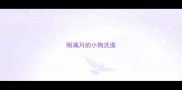 刚满月的小狗洗澡