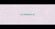 哈士奇狗品种介绍