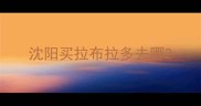 沈阳买拉布拉多去哪