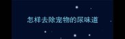 怎样去除宠物的尿味道