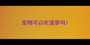 宠物可以吃菠萝吗