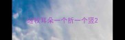 边牧耳朵一个折一个竖
