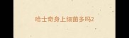 哈士奇身上细菌多吗