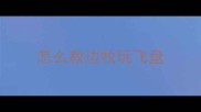 怎么教边牧玩飞盘