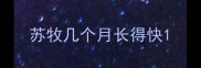苏牧几个月长得快